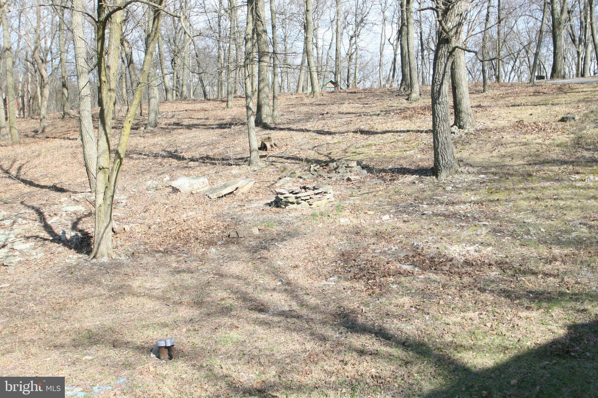 6448 Red Maple Circle Huntingdon, PA 16652 - Photo 8 of 39 Fire Pit