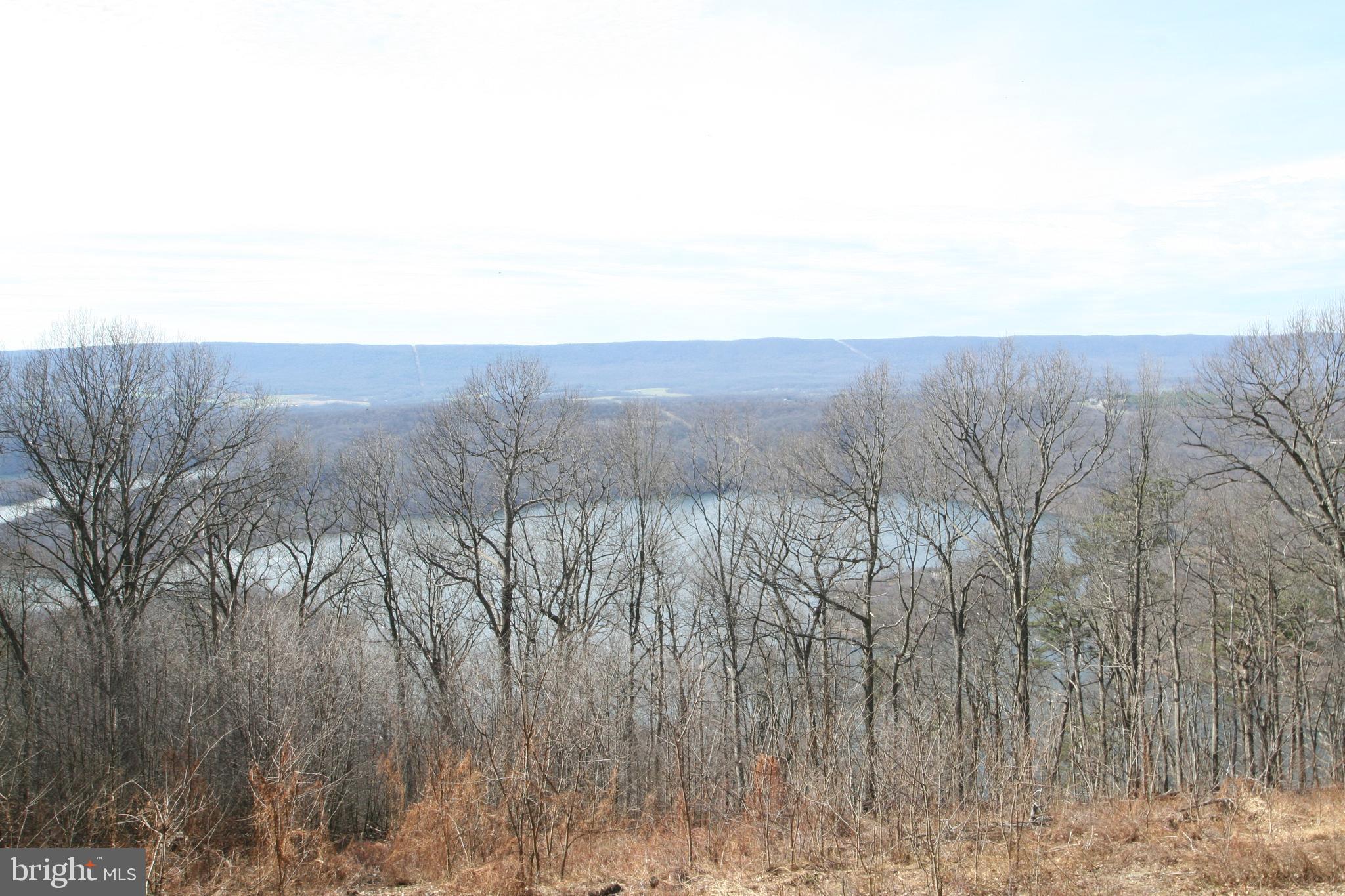 6448 Red Maple Circle Huntingdon, PA 16652 - Photo 10 of 39 Lake View