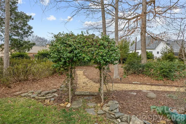 a plant that is sitting in front of a tree