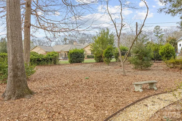 a view of a yard with plants and trees