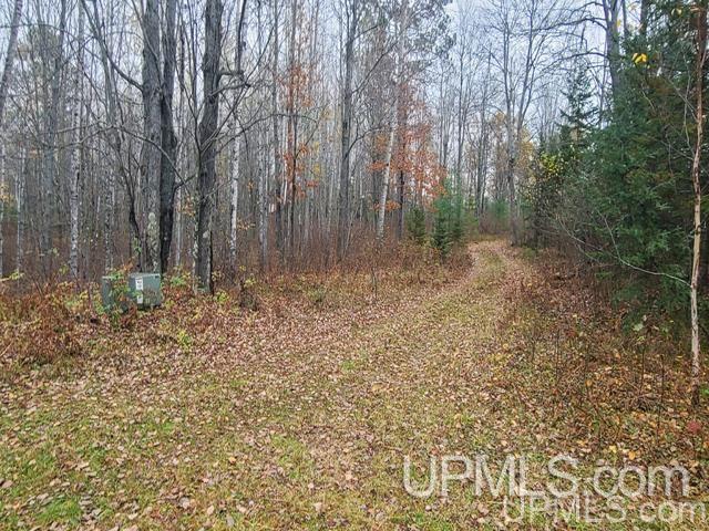124 Soderena Road Crystal Falls, MI 49920 - Photo 14 of 23 Gallery Image 14