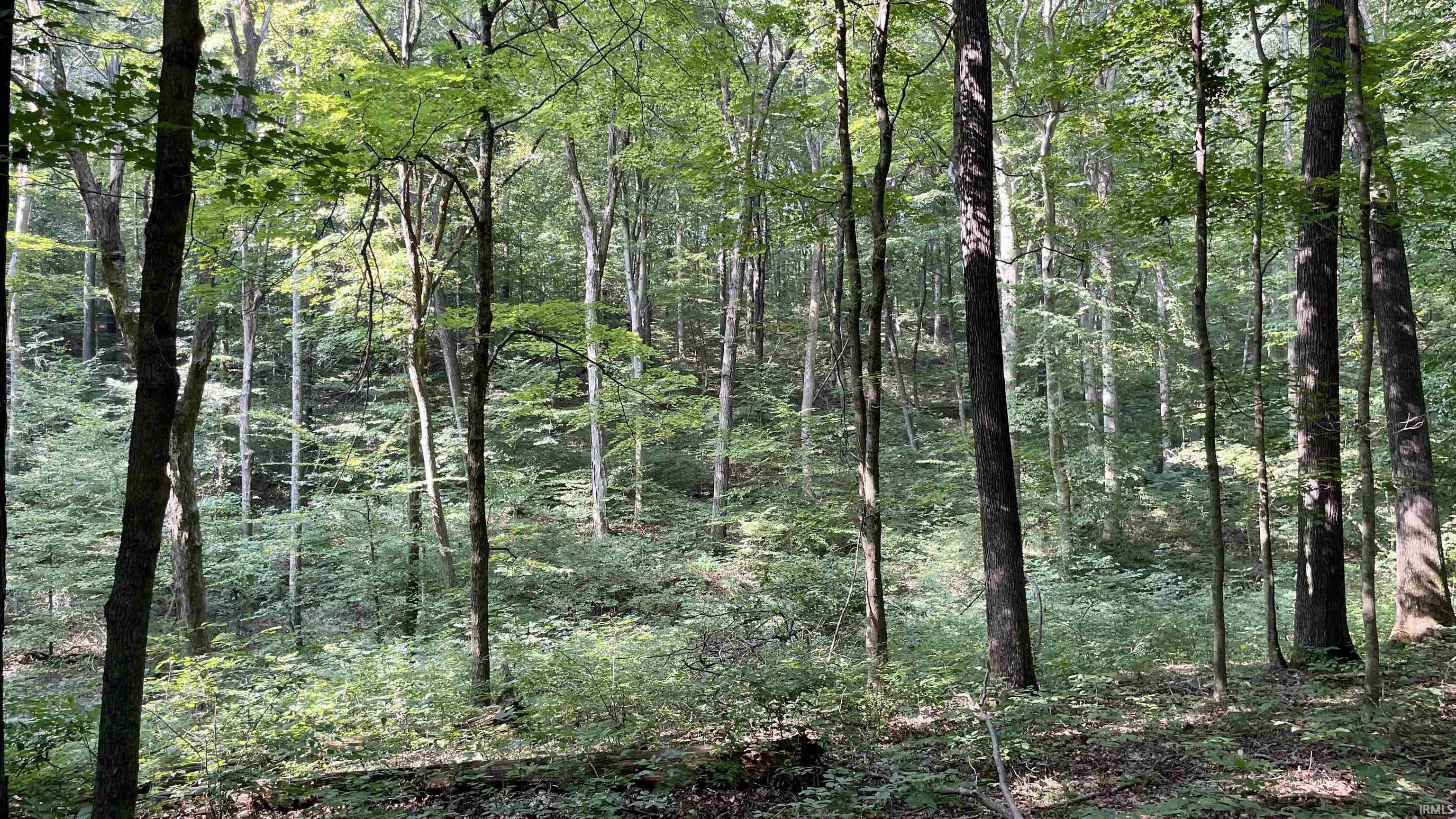 Doolittle Mills Road English, IN 47118 - Photo 11 of 18