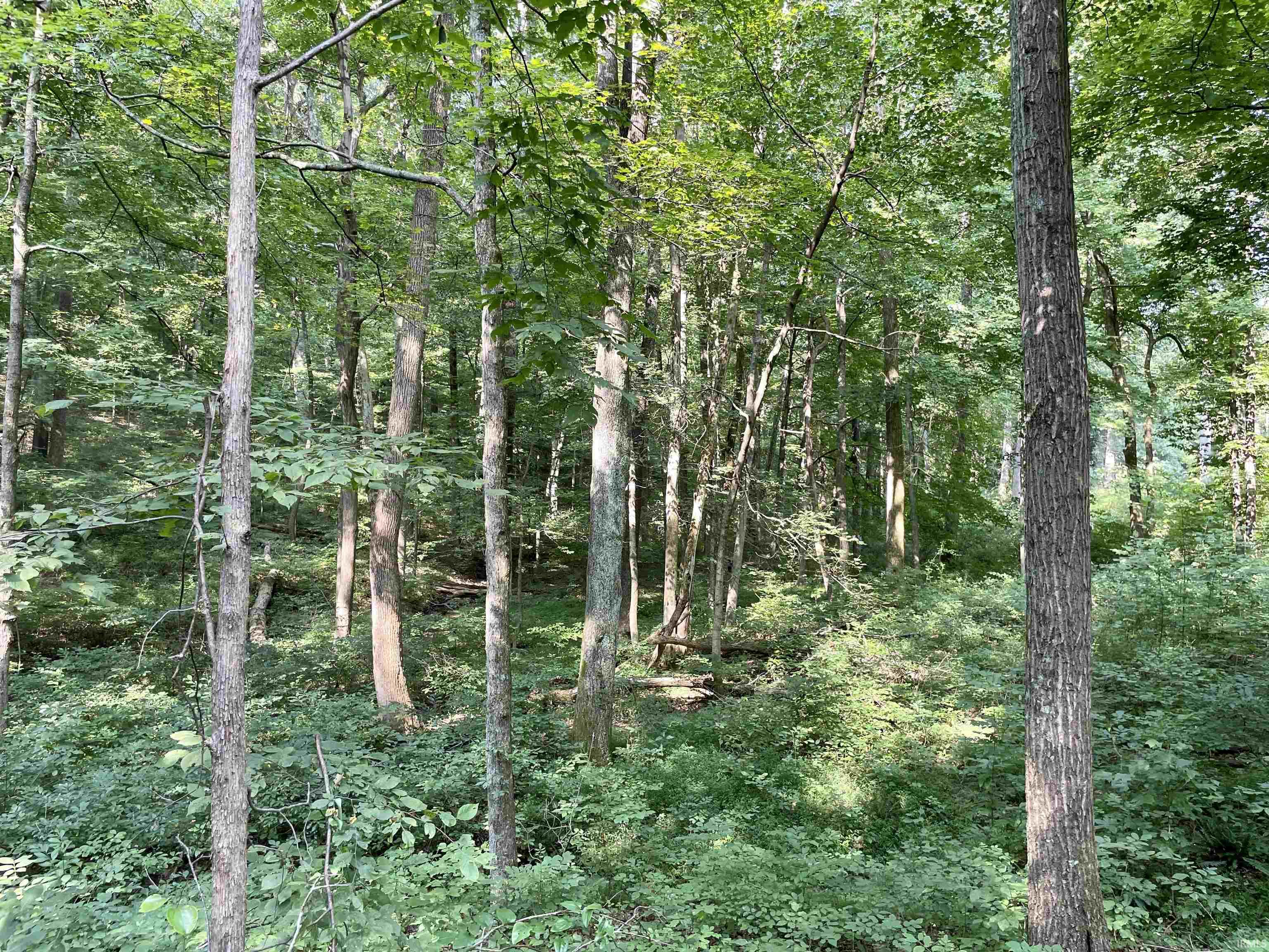 Doolittle Mills Road English, IN 47118 - Photo 12 of 18