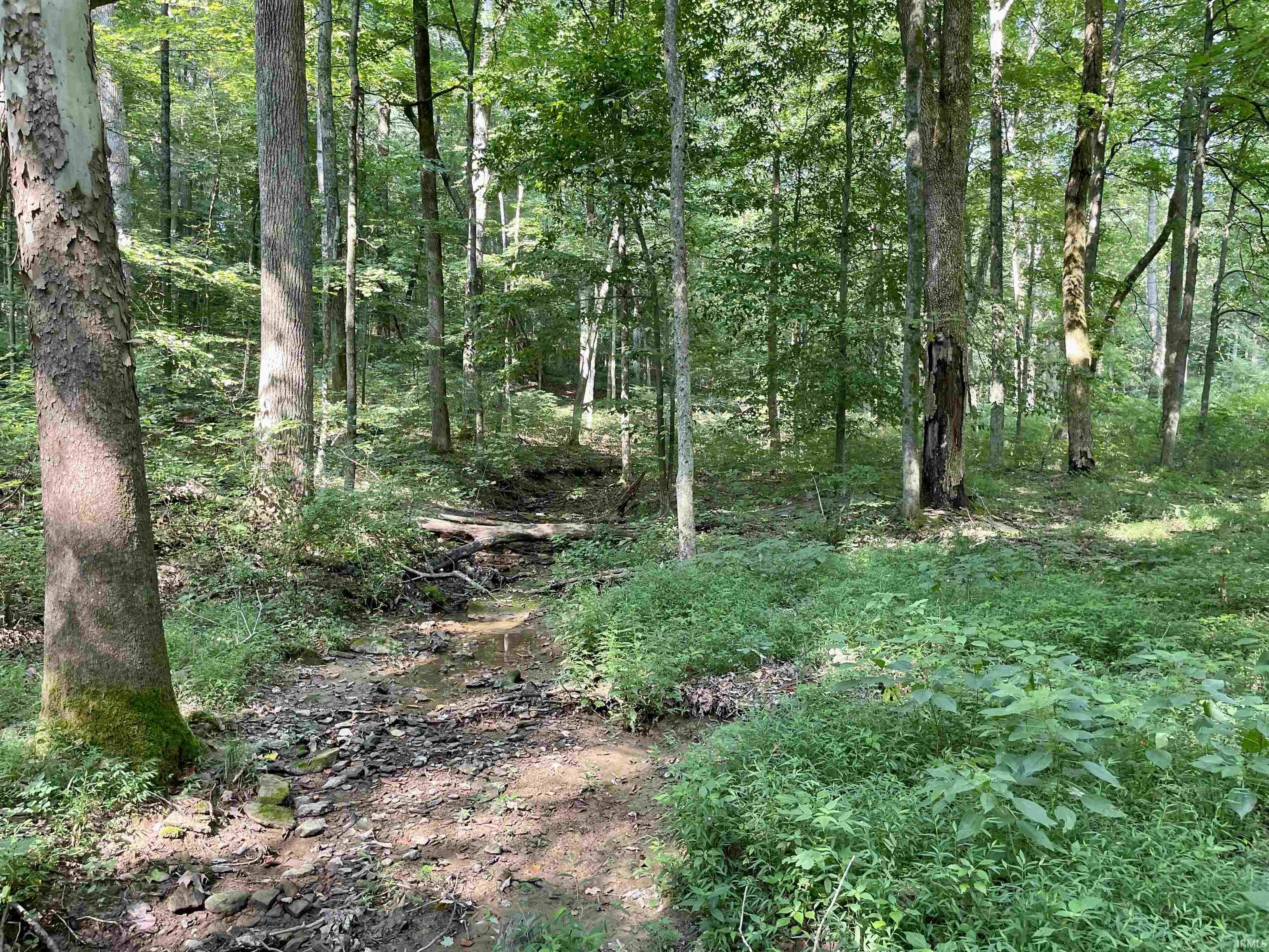 Doolittle Mills Road English, IN 47118 - Photo 13 of 18