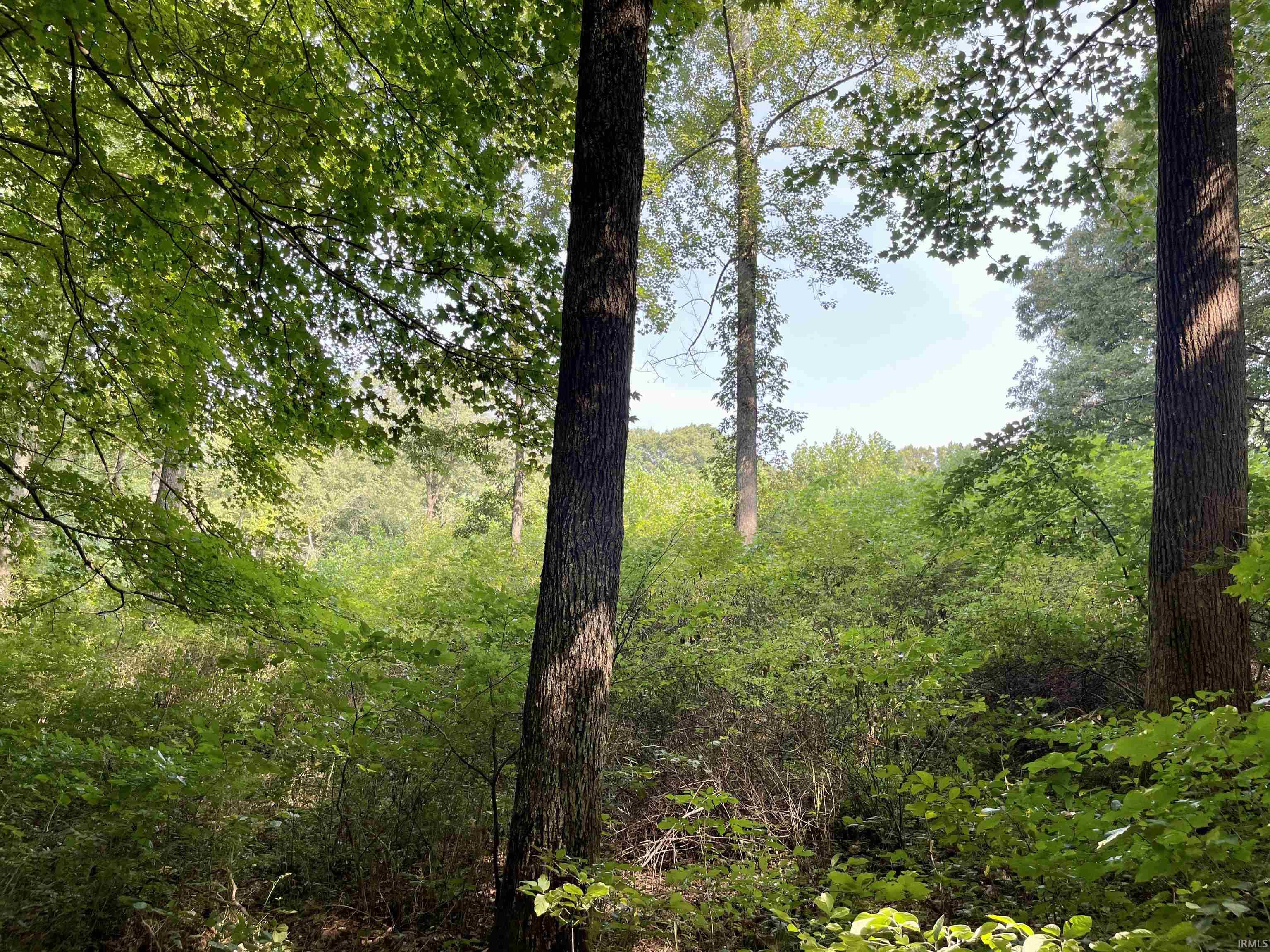 Doolittle Mills Road English, IN 47118 - Photo 14 of 18