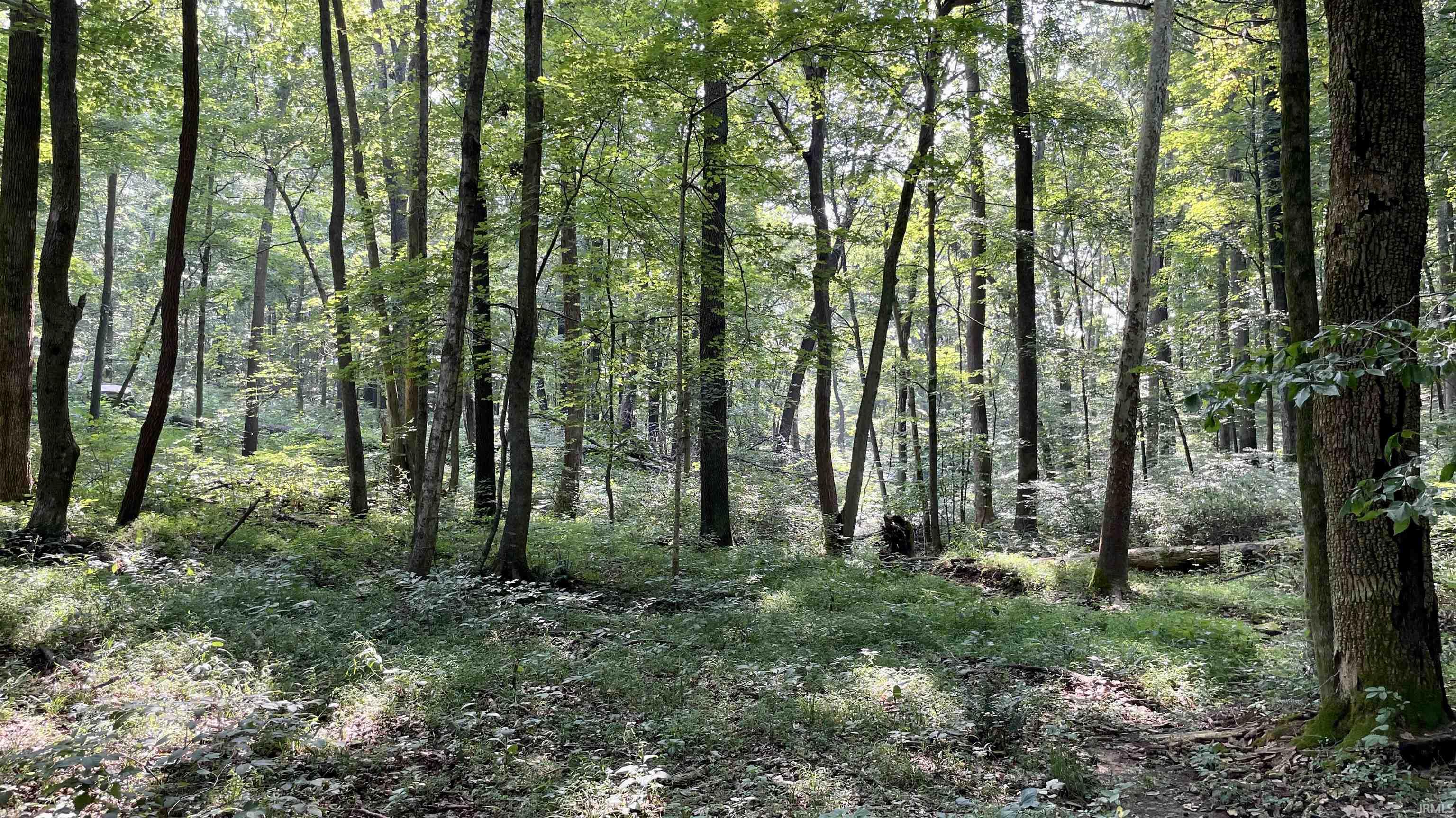 Doolittle Mills Road English, IN 47118 - Photo 15 of 18