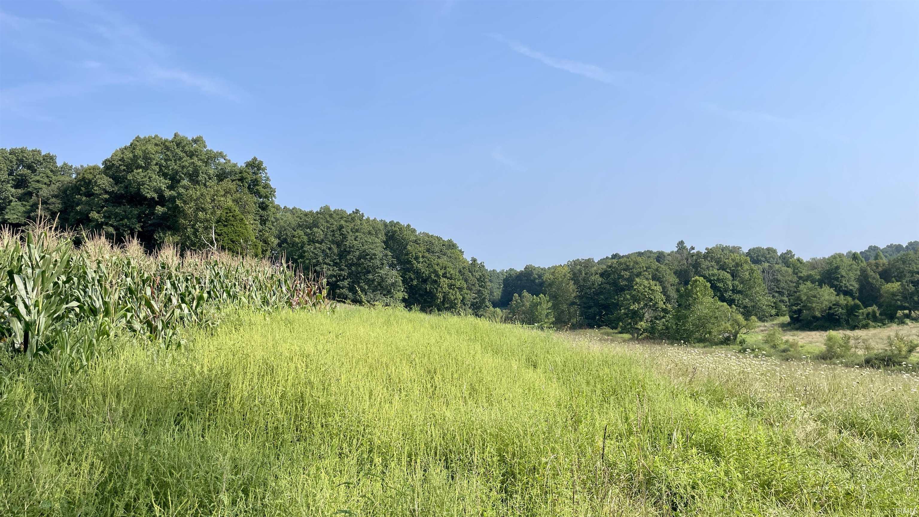 Doolittle Mills Road English, IN 47118 - Photo 16 of 18