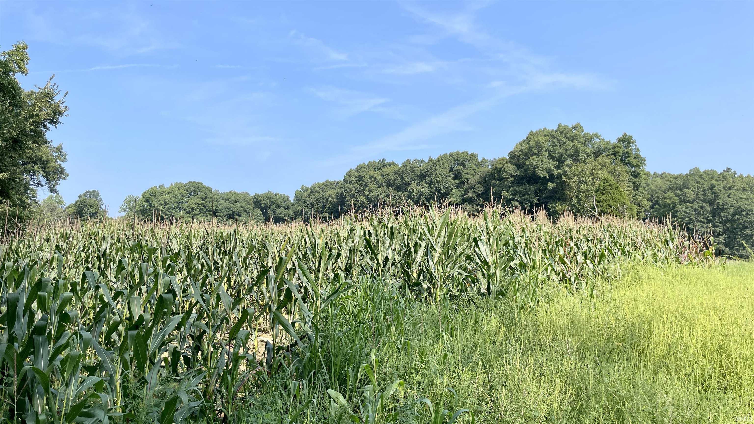 Doolittle Mills Road English, IN 47118 - Photo 17 of 18