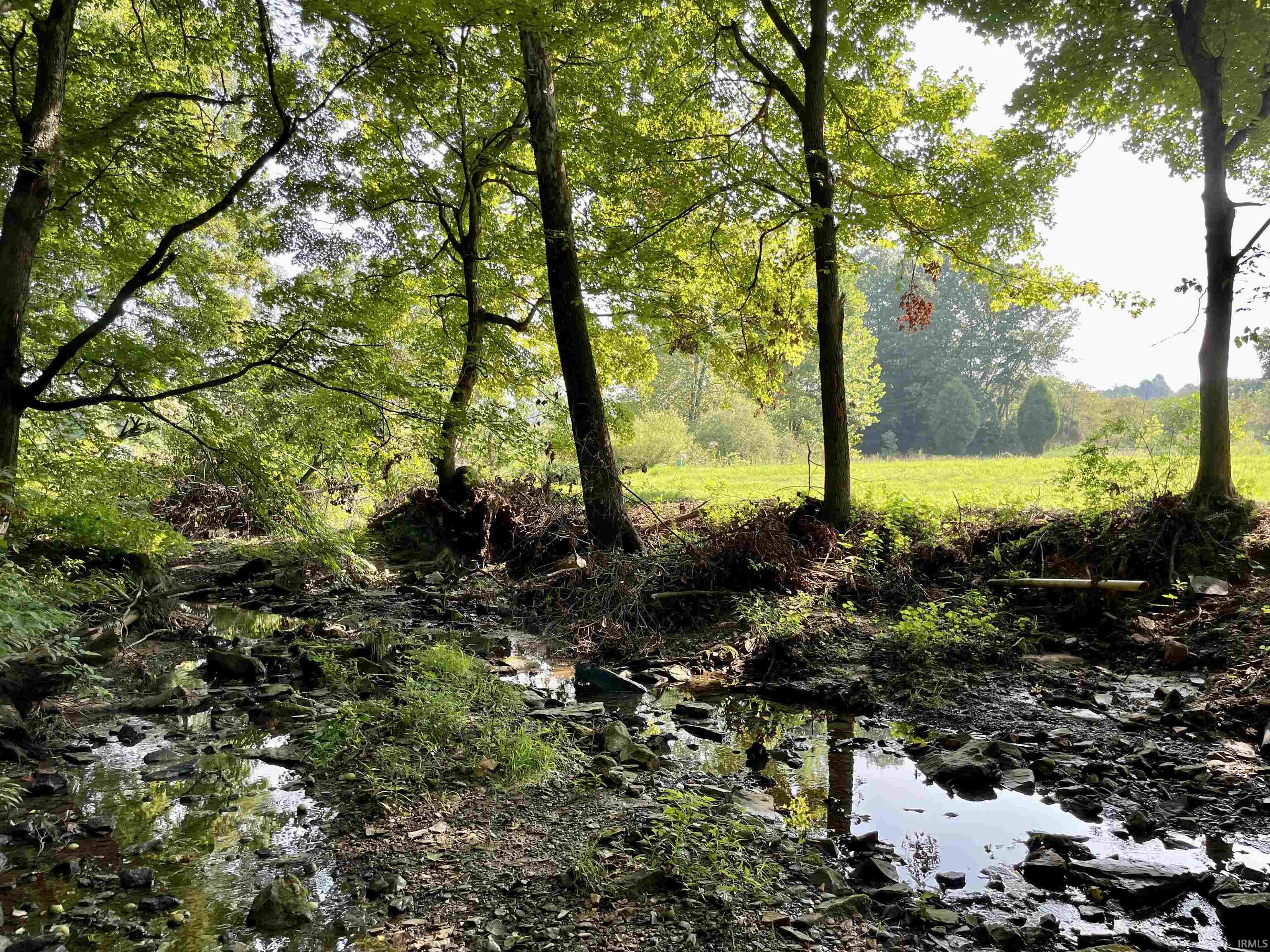 Doolittle Mills Road English, IN 47118 - Photo 6 of 18