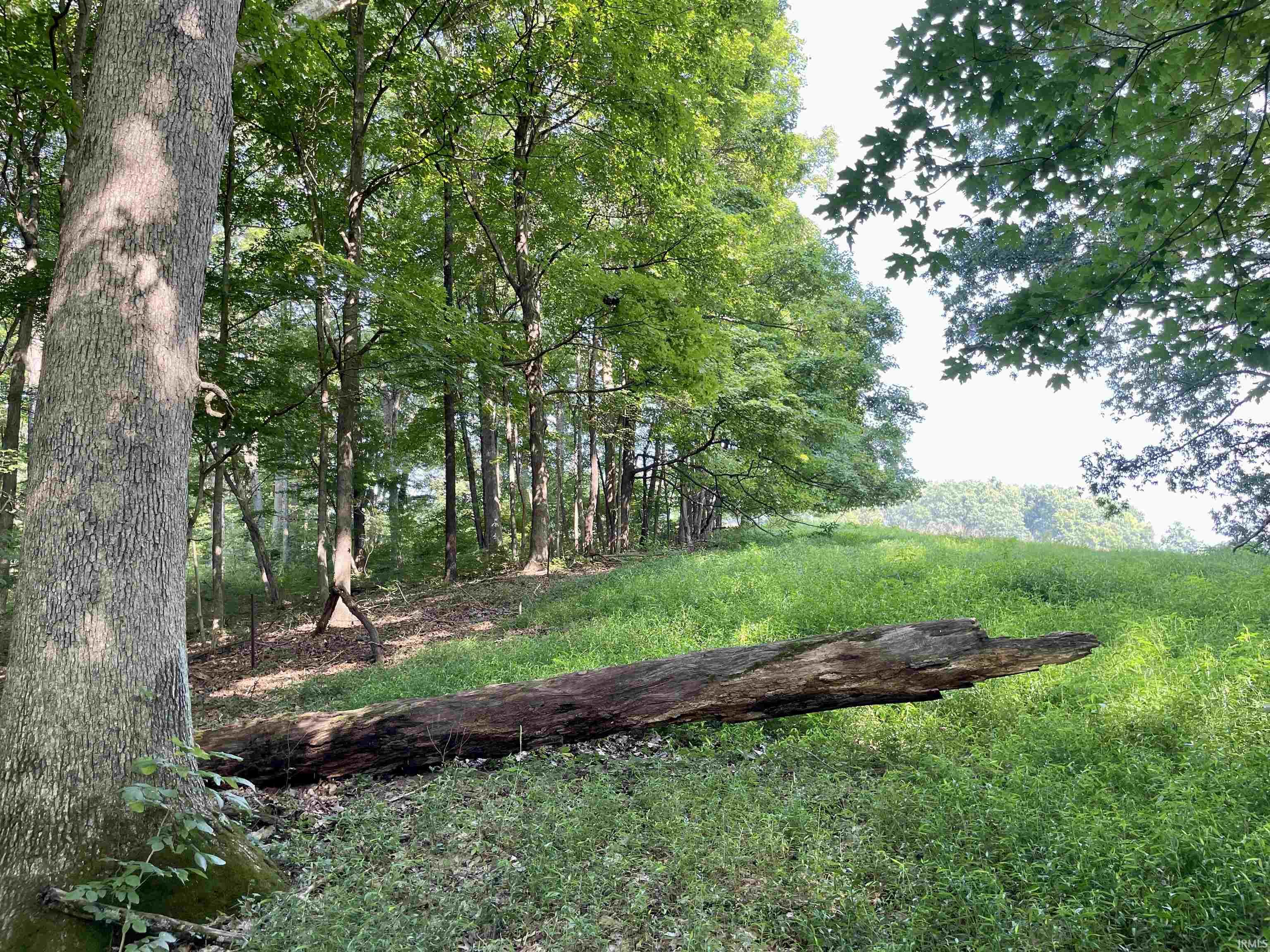 Doolittle Mills Road English, IN 47118 - Photo 7 of 18