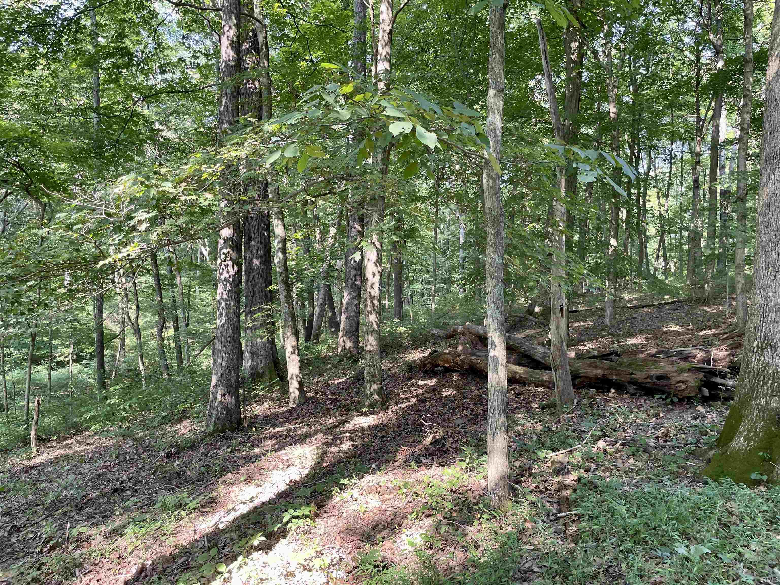 Doolittle Mills Road English, IN 47118 - Photo 8 of 18