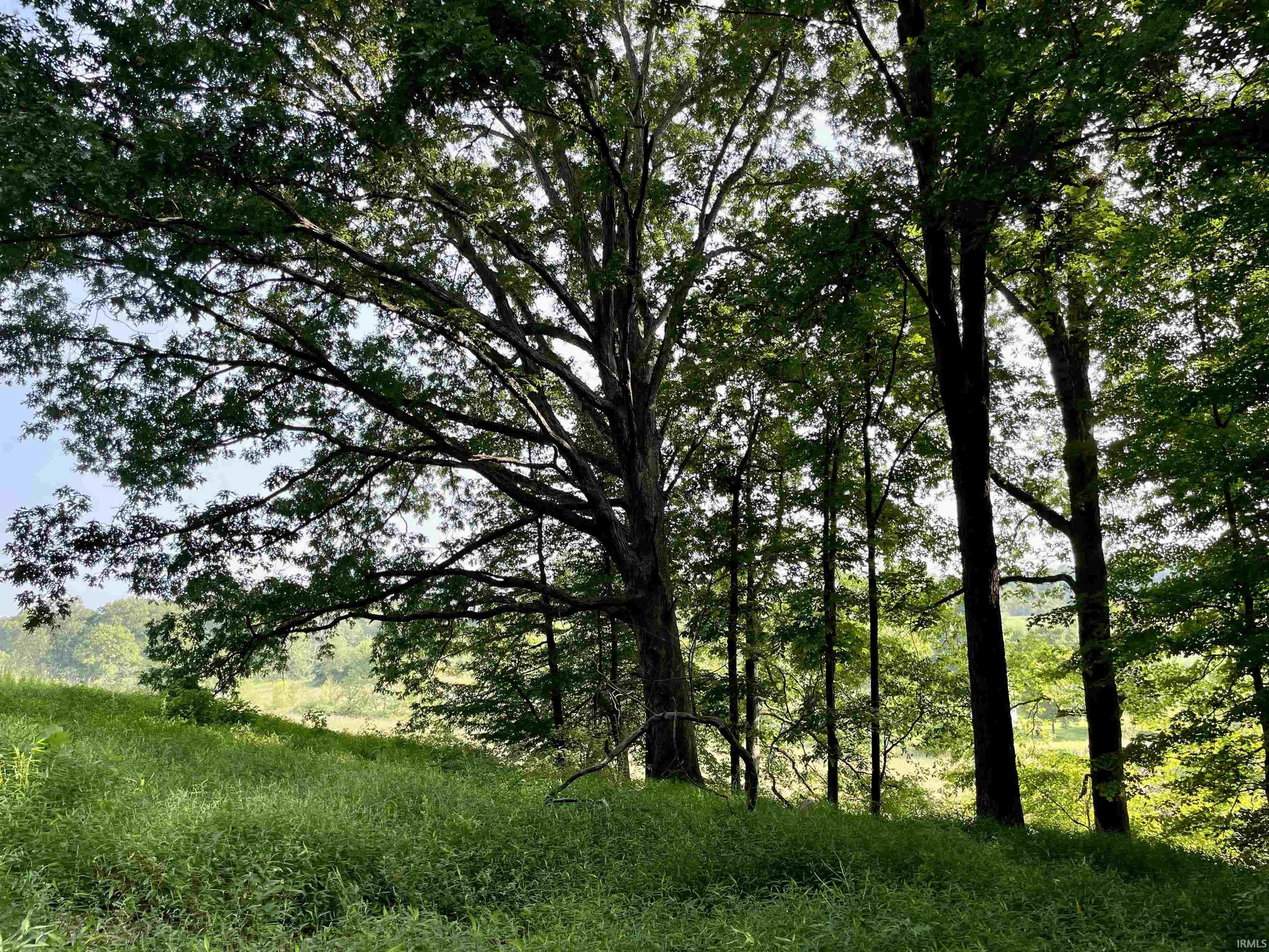 Doolittle Mills Road English, IN 47118 - Photo 9 of 18