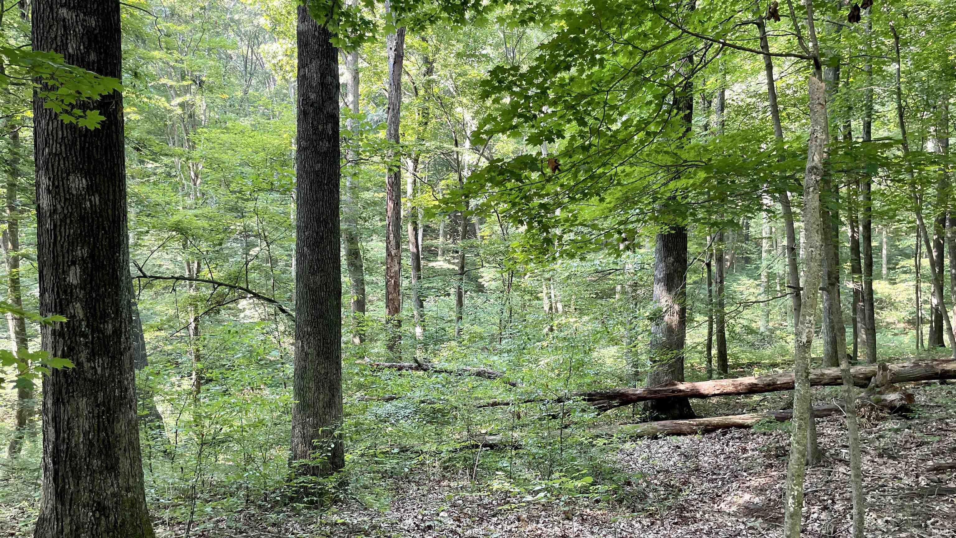 Doolittle Mills Road English, IN 47118 - Photo 10 of 18