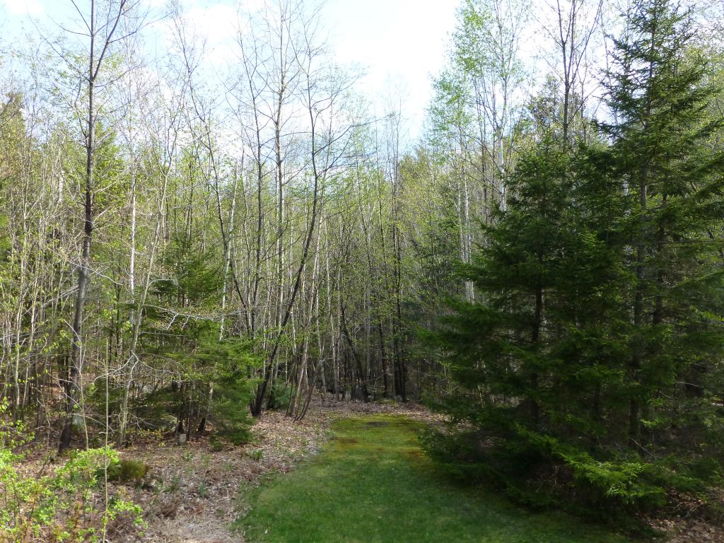 24 Old Town Road Winhall, VT 05340 - Photo 20 of 24
