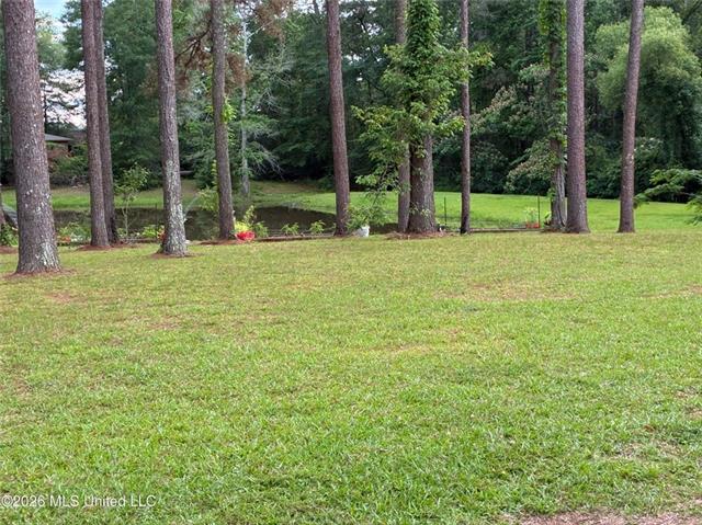 367 44th Highway Jayess, MS 39641 - Photo 34 of 38