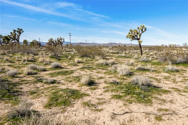 $32,500 | 0 Gibraltar, Landers, CA 92285
