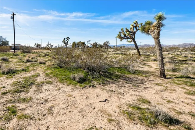 $32,500 | 0 Gibraltar, Landers, CA 92285