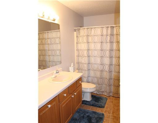 687 South Freer Road Chelsea, MI 48118 - Photo 10 of 17 Photo 10