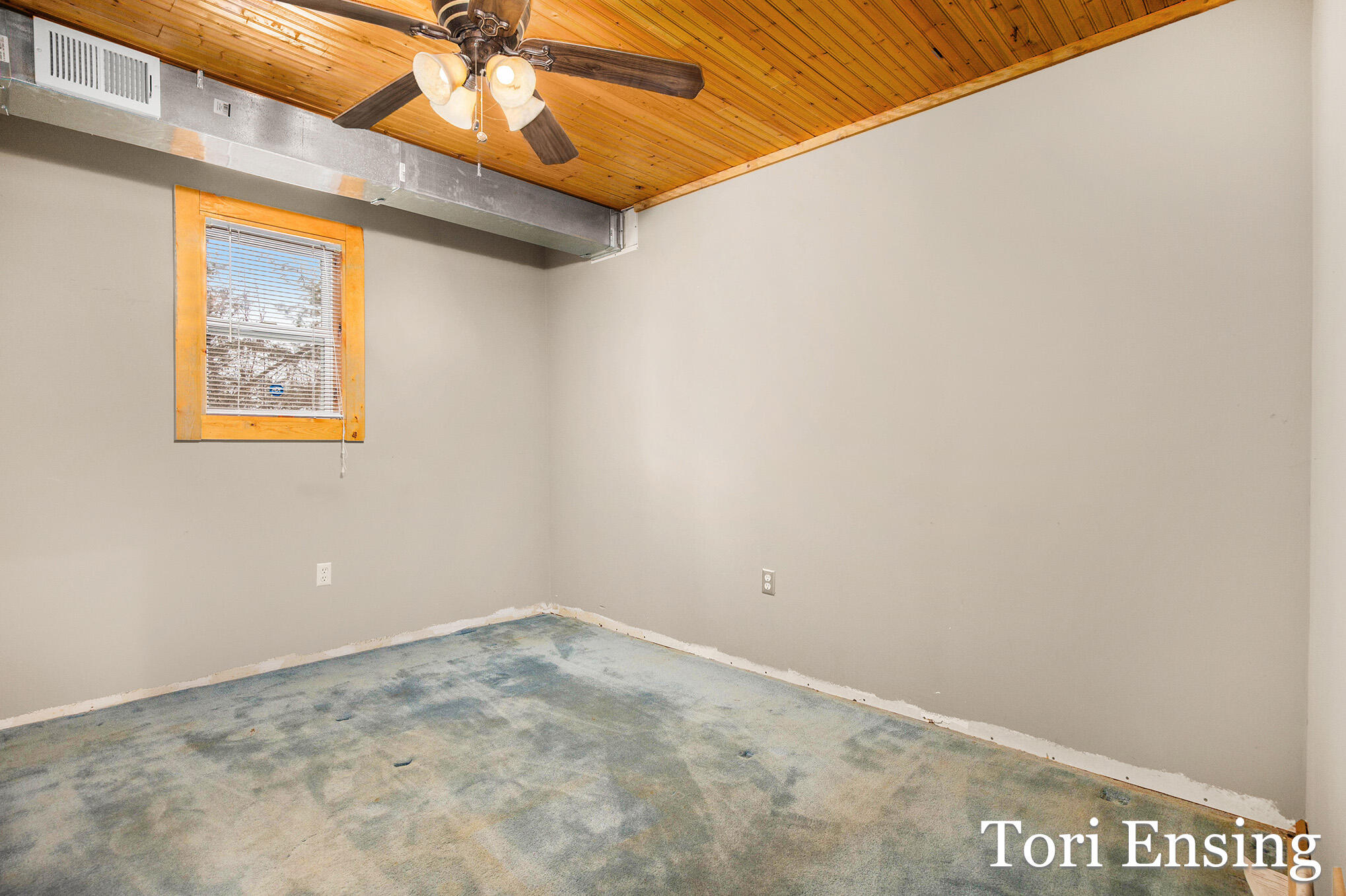 8700 Godfrey Road Greenville, MI 48838 - Photo 14 of 21 8700 Godfrey-06