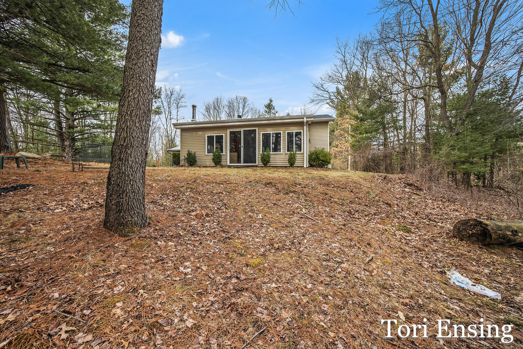 8700 Godfrey Road Greenville, MI 48838 - Photo 17 of 21 8700 Godfrey-29