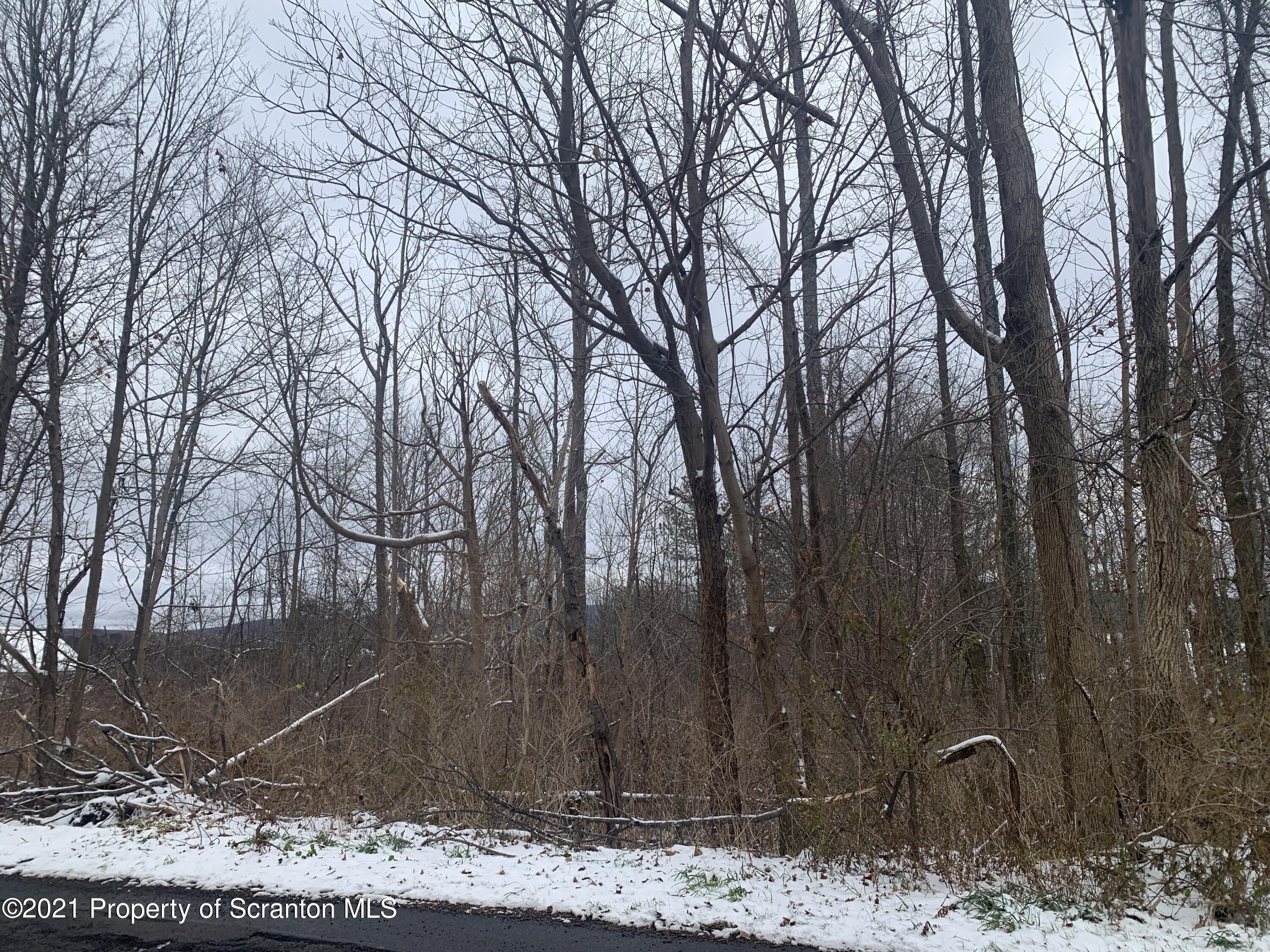 Griffin Pond Road Clarks Summit, PA 18411 - Photo 3 of 4 a backyard of a house with lots of green space