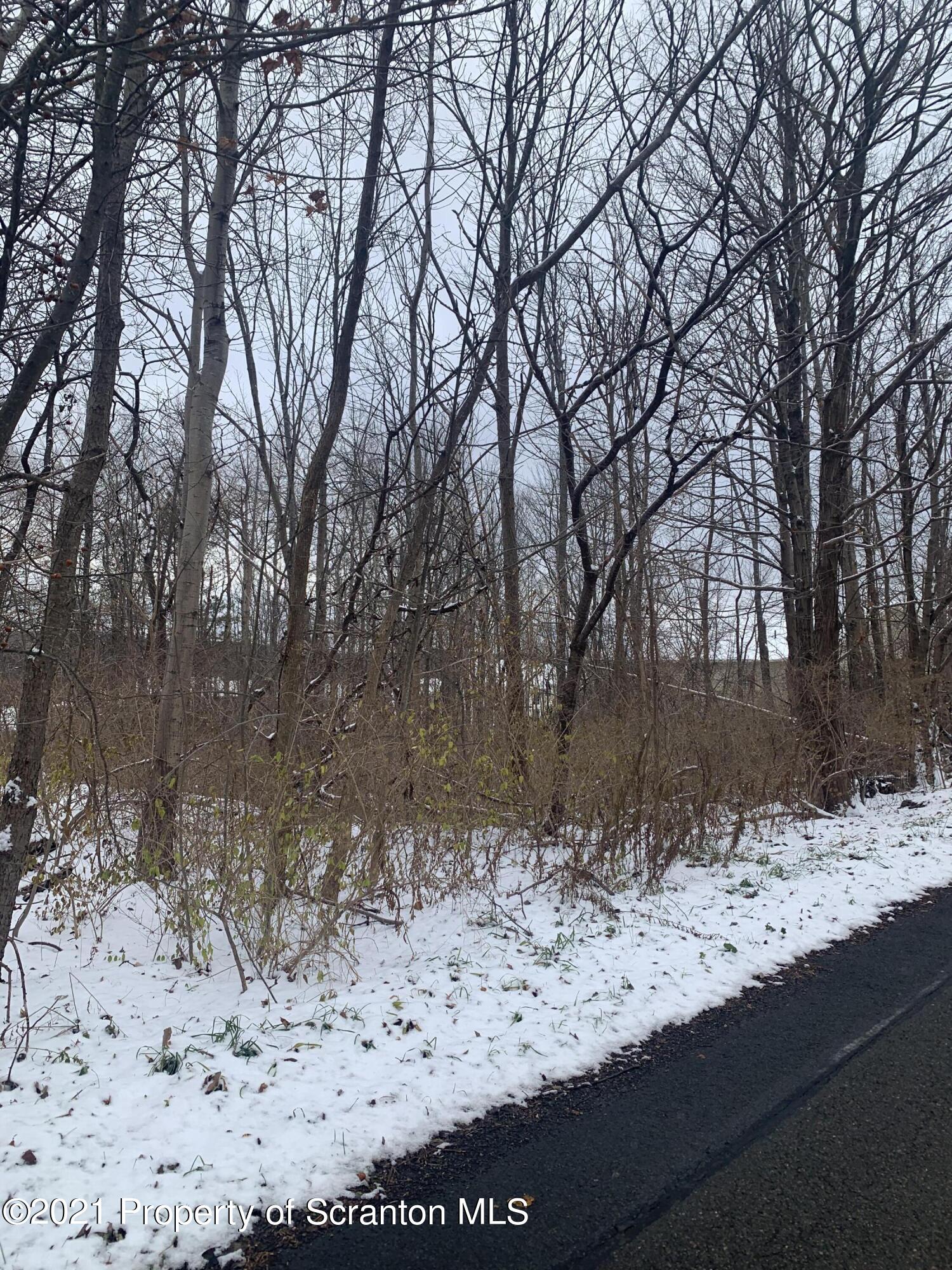 Griffin Pond Road Clarks Summit, PA 18411 - Photo 4 of 4 a view of a yard covered in snow