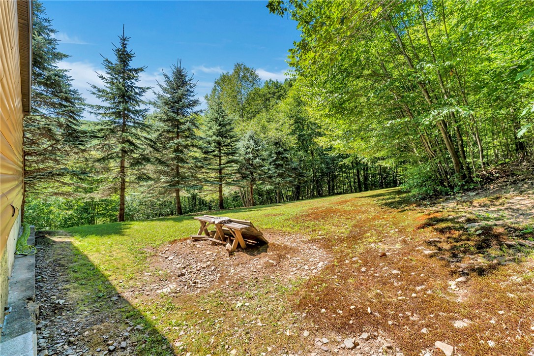 380 Bendzunas Road Hamden, NY 13782 - Photo 24 of 28