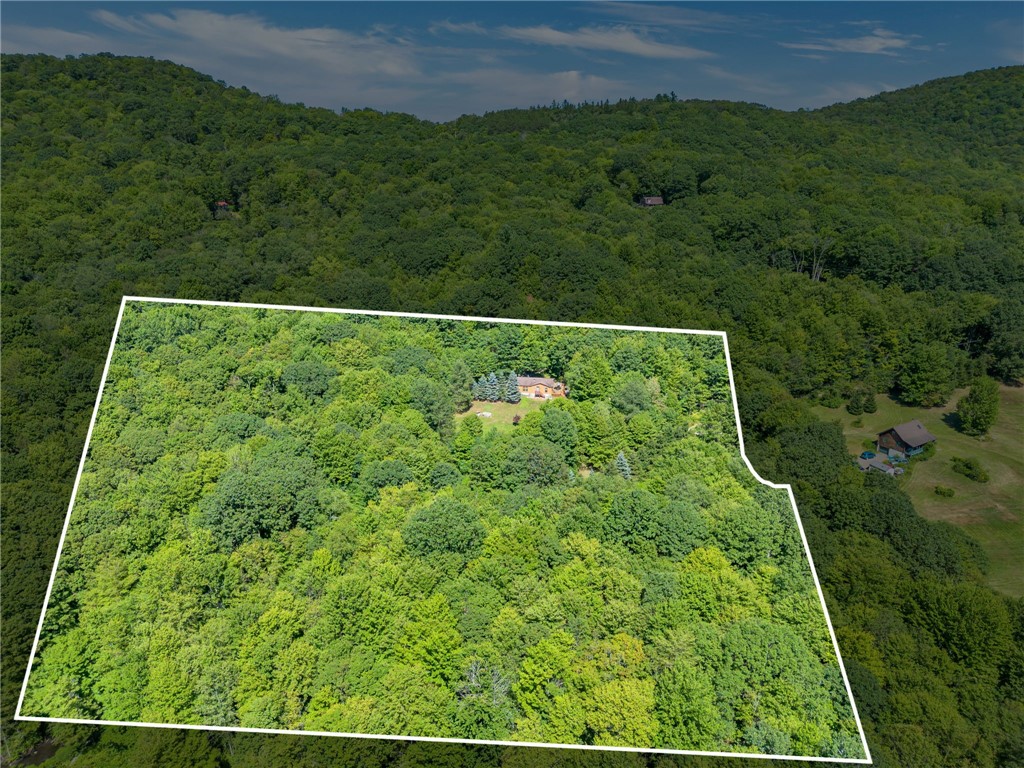 380 Bendzunas Road Hamden, NY 13782 - Photo 27 of 28