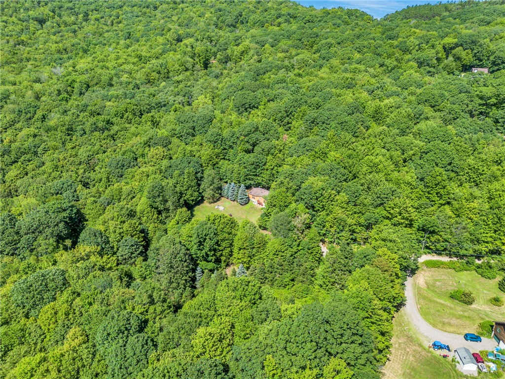 380 Bendzunas Road Hamden, NY 13782 - Photo 28 of 28