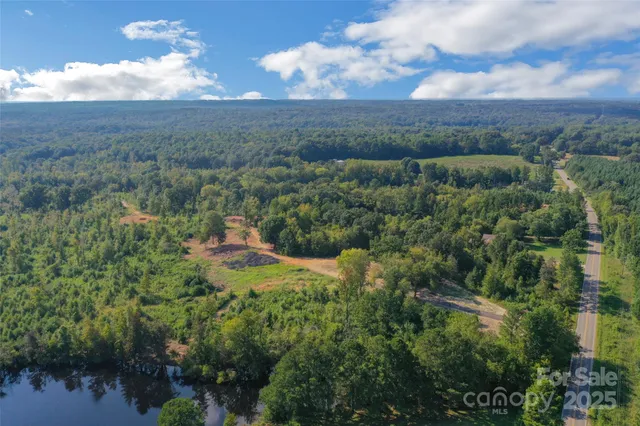a view of a forest with a lush green forest