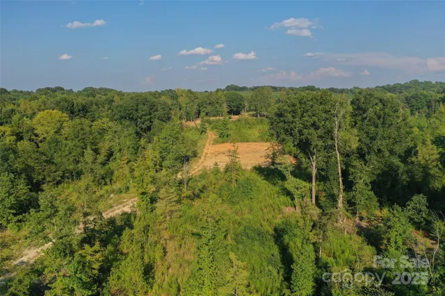 a view of a lake and green space