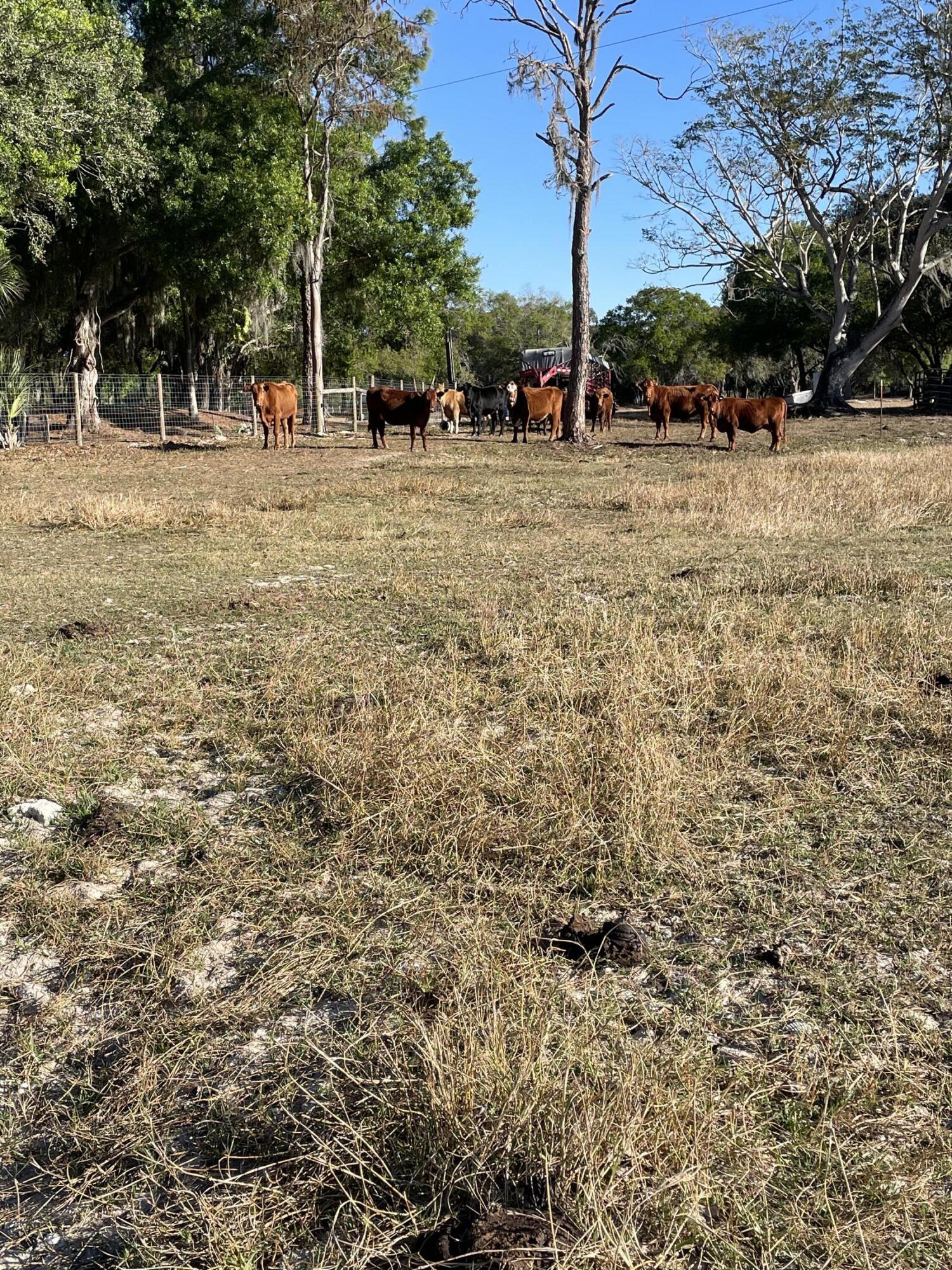 1220 A Road LaBelle, FL 33935 - Photo 32 of 44 IMG_0094