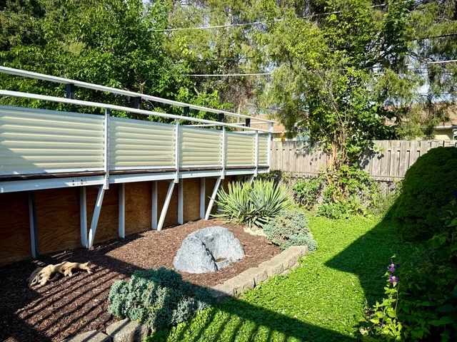a view of a backyard with plants