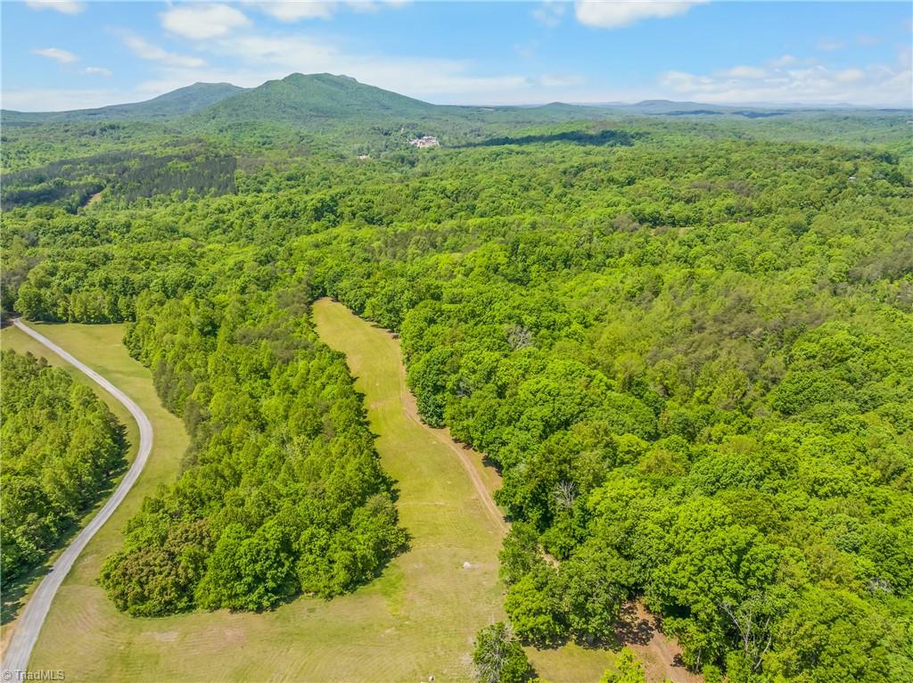 1392 Mission Road Danbury, NC 27016 - Photo 18 of 29