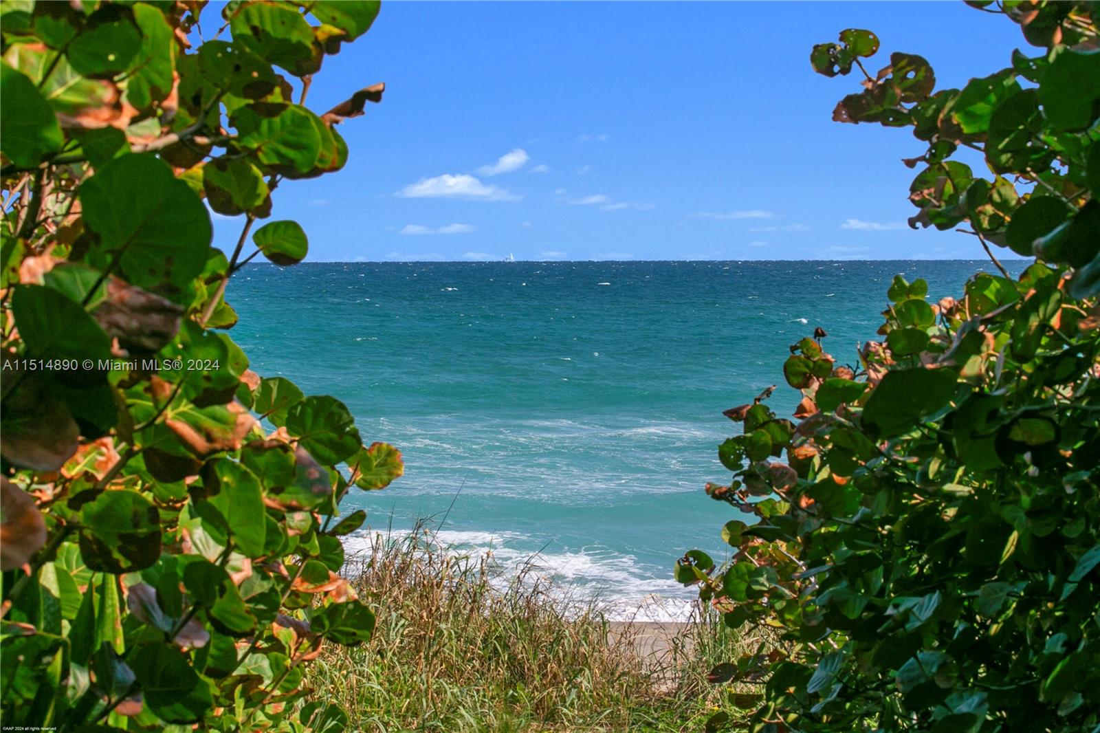 126 South Beach Road Jupiter Island, FL 33455 - Photo 54 of 63 Gallery Image 54