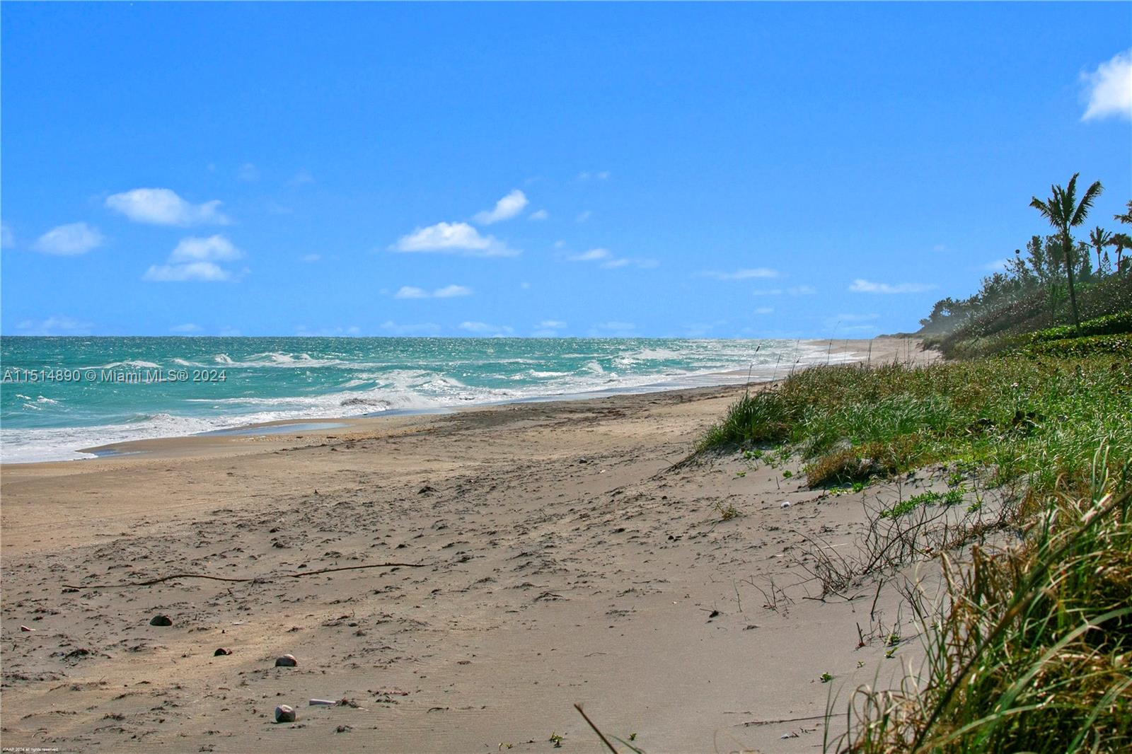 126 South Beach Road Jupiter Island, FL 33455 - Photo 55 of 63 Gallery Image 55