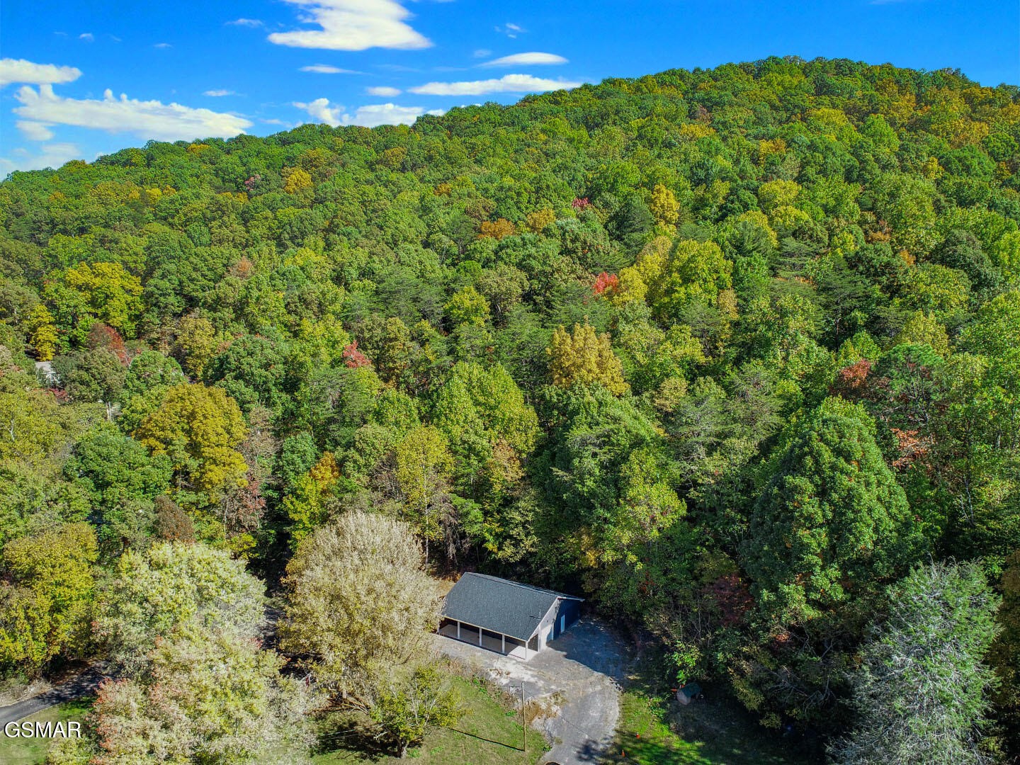 0 Piney Mountain Road Newport, TN 37821 - Photo 16 of 27 Gallery Image 16