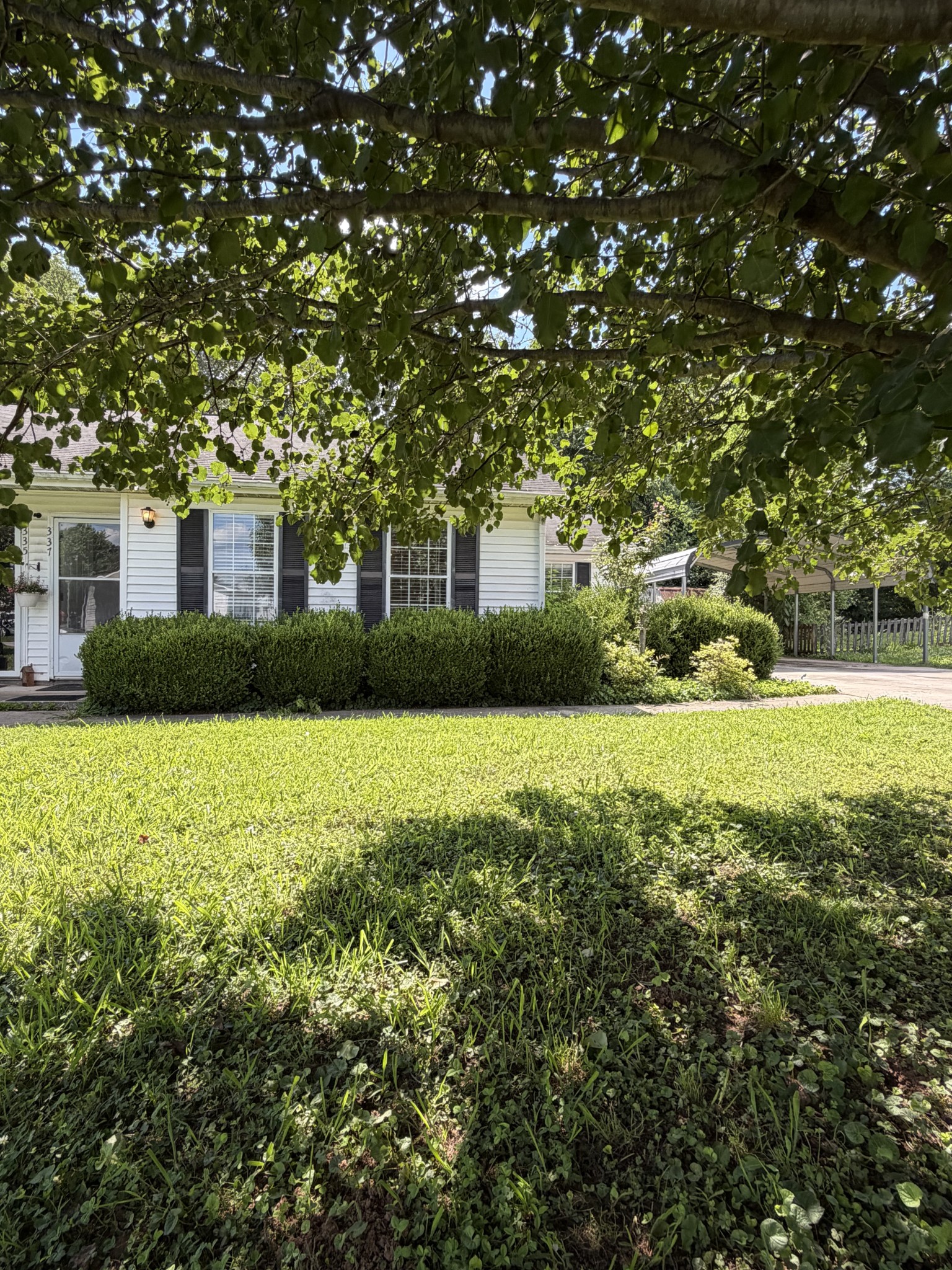 337 Sunshine Circle Decherd, TN 37324 - Photo 1 of 44