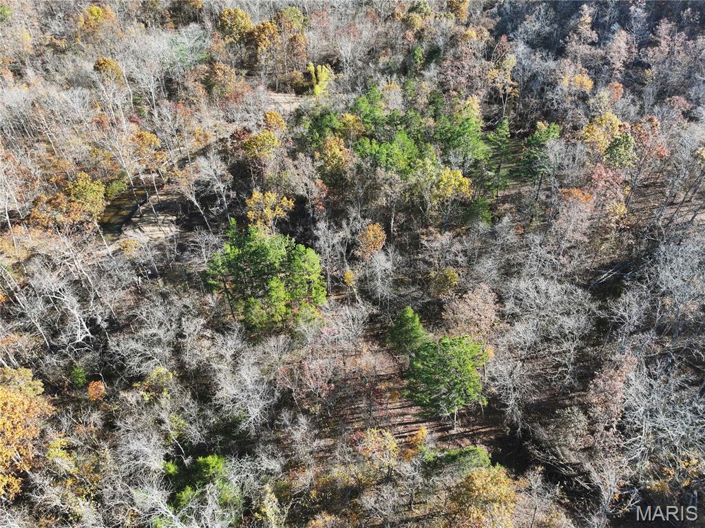 2 Bcr 930 Patton, MO 63662 - Photo 12 of 36