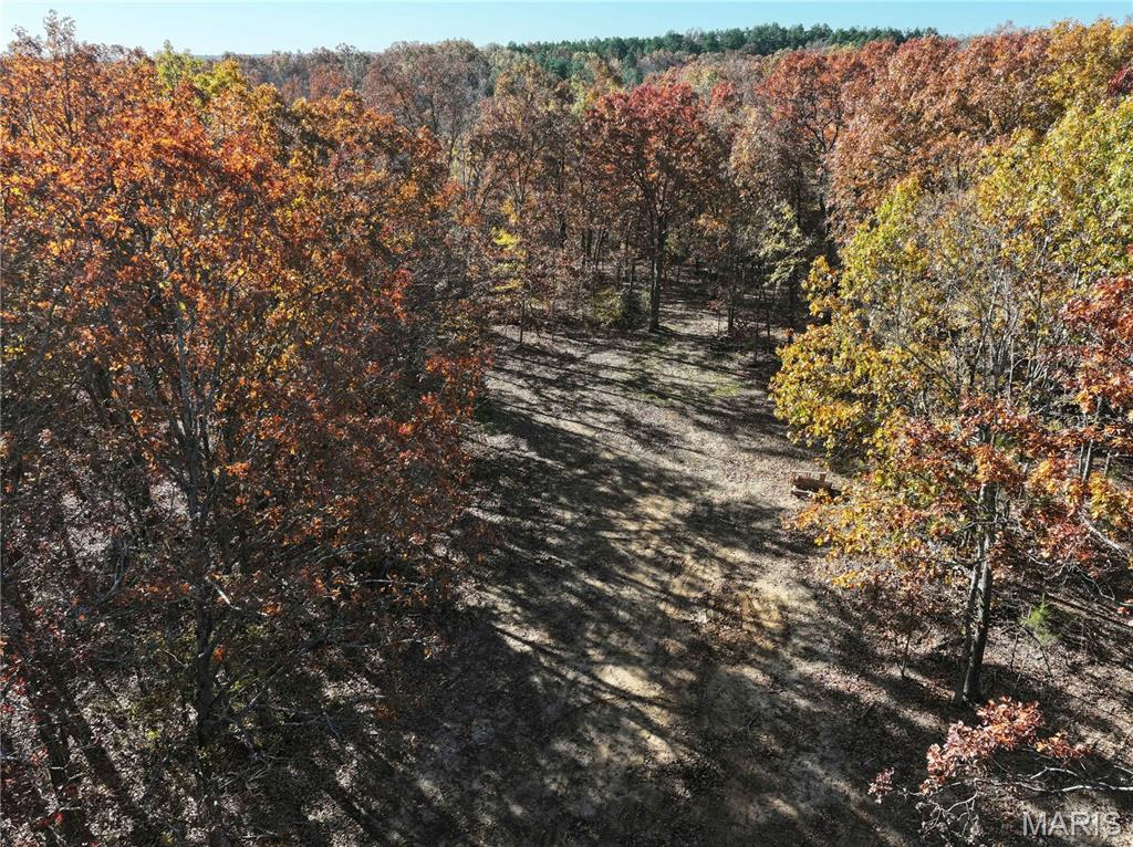 2 Bcr 930 Patton, MO 63662 - Photo 12 of 45