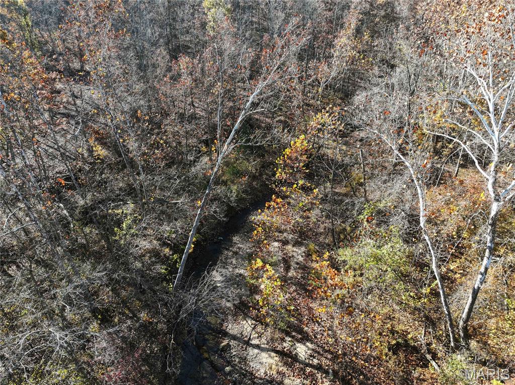 2 Bcr 930 Patton, MO 63662 - Photo 18 of 36