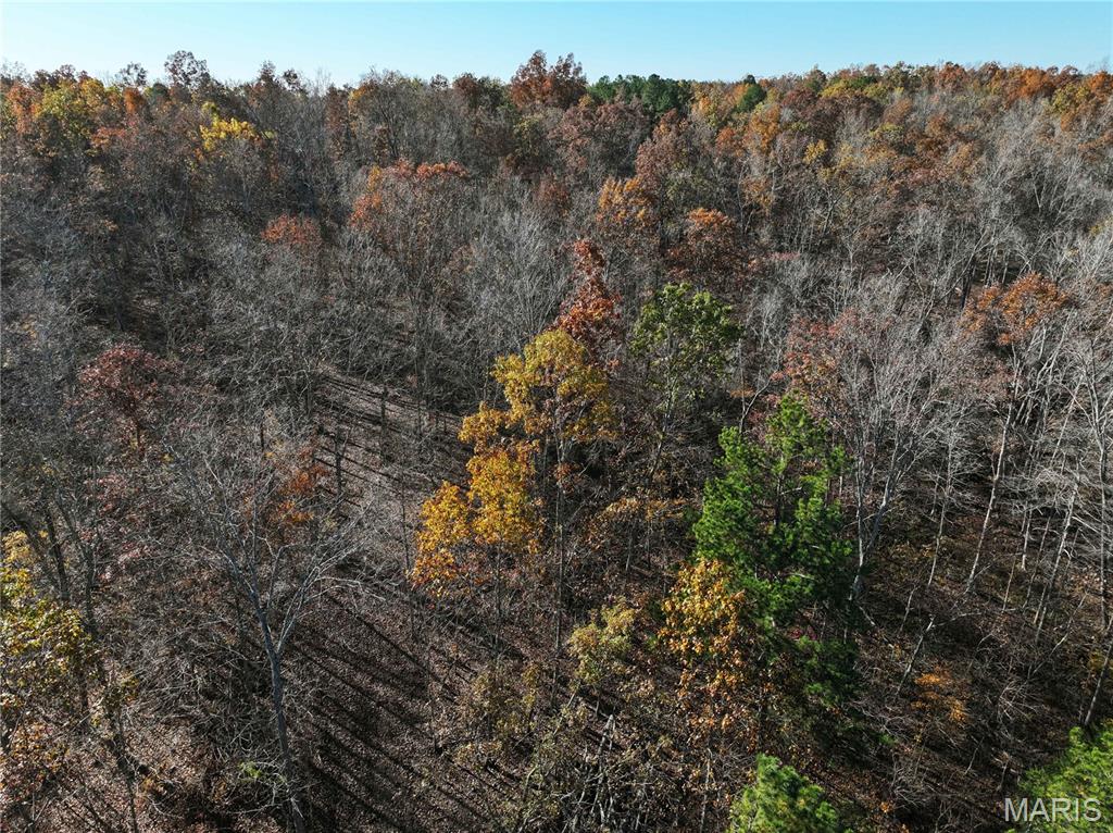 2 Bcr 930 Patton, MO 63662 - Photo 22 of 36