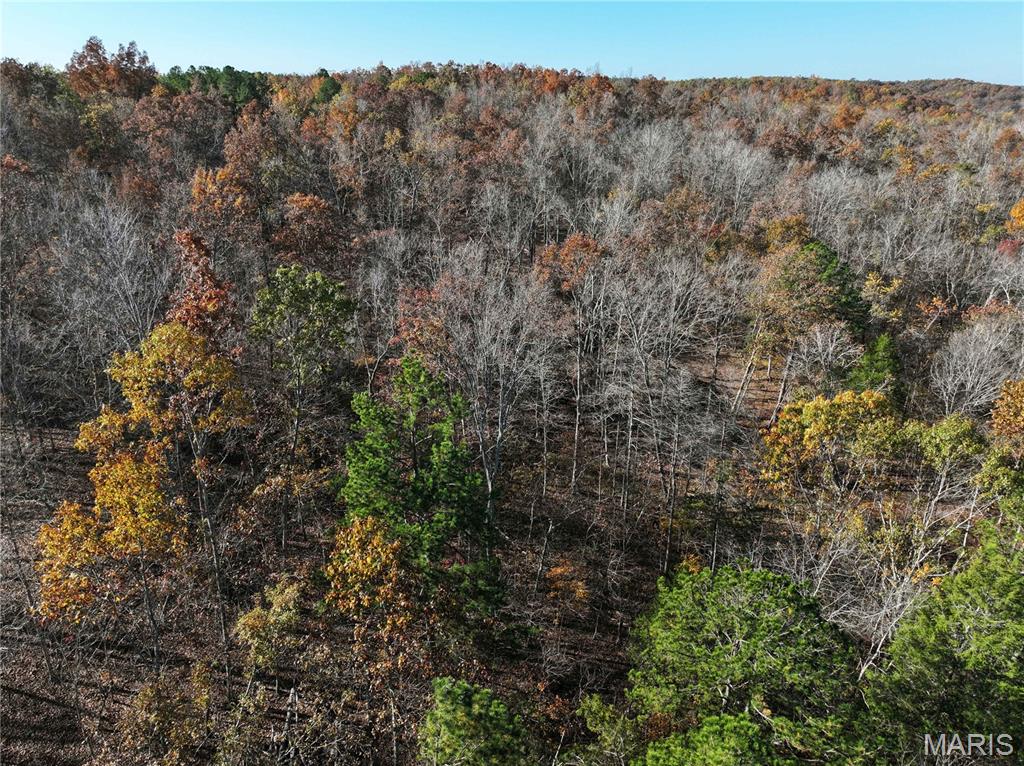 2 Bcr 930 Patton, MO 63662 - Photo 23 of 36