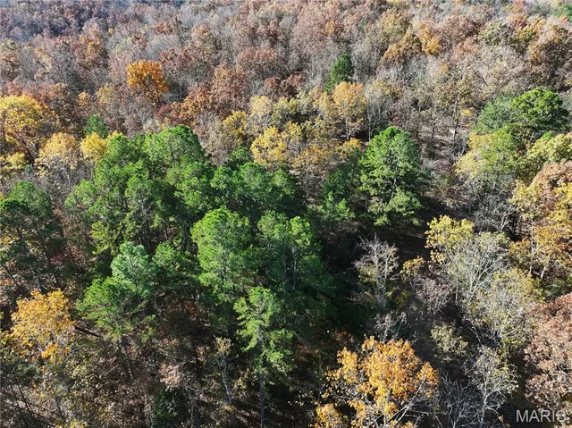 $176,900 | 2 Bcr 930, Patton, MO 63662