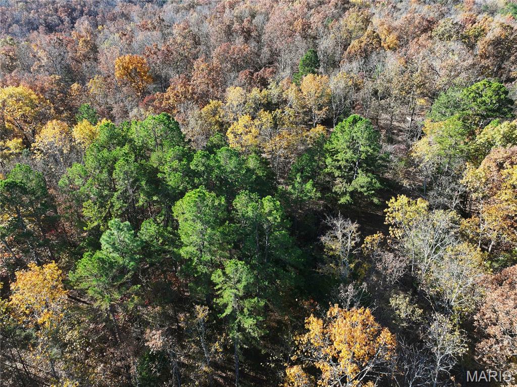 2 Bcr 930 Patton, MO 63662 - Photo 25 of 36