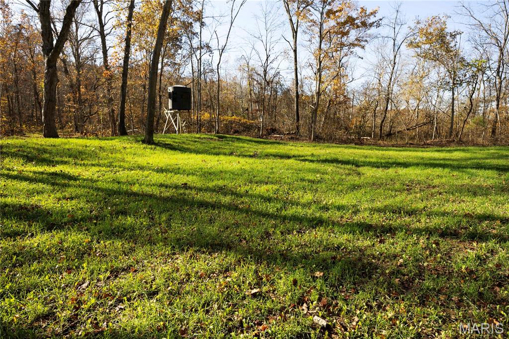 2 Bcr 930 Patton, MO 63662 - Photo 29 of 36