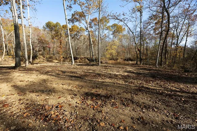 $176,900 | 2 Bcr 930, Patton, MO 63662