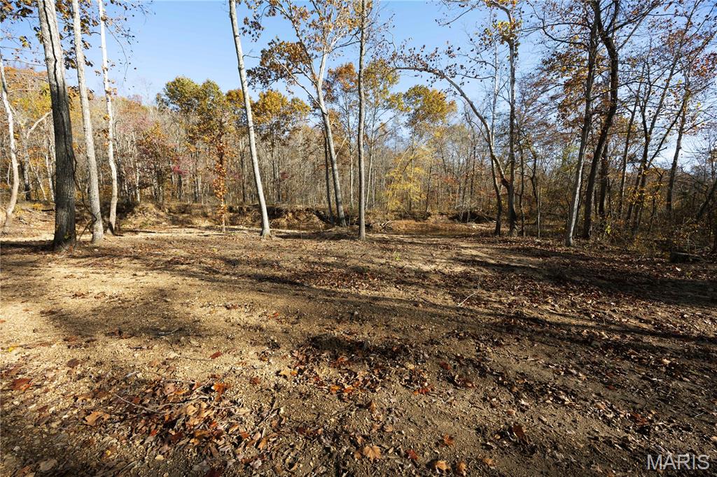 2 Bcr 930 Patton, MO 63662 - Photo 30 of 36