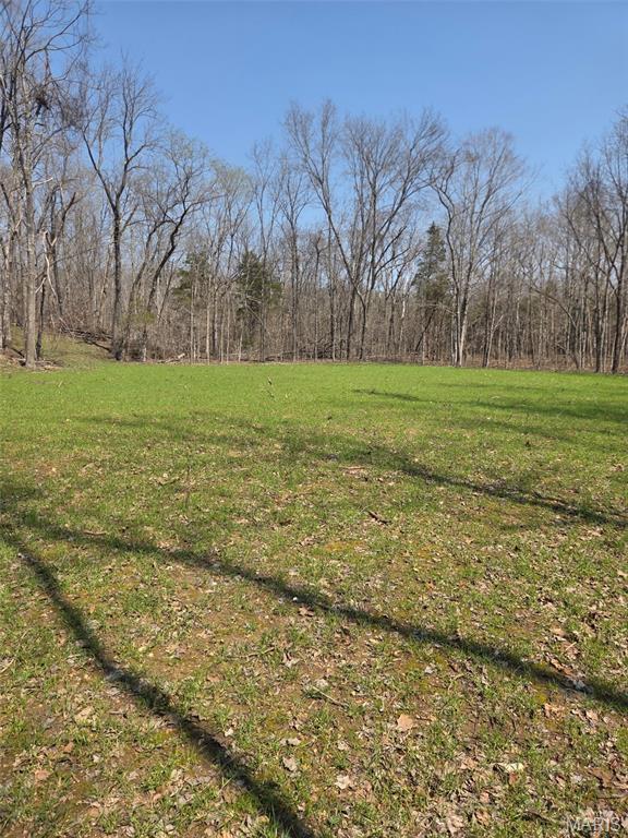 2 Bcr 930 Patton, MO 63662 - Photo 3 of 45