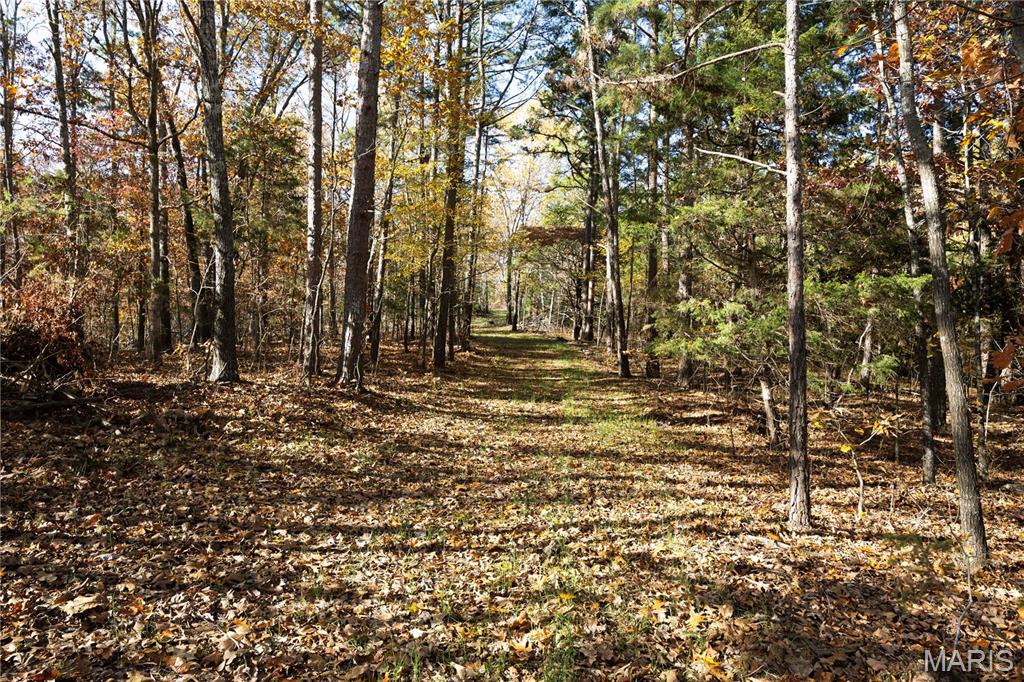 2 Bcr 930 Patton, MO 63662 - Photo 3 of 36